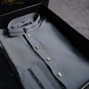 Aristo Men's Punjabi (Grey)